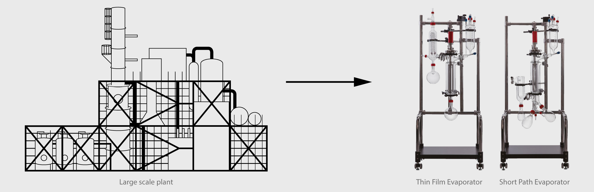 Process Scale down Process Scale down
